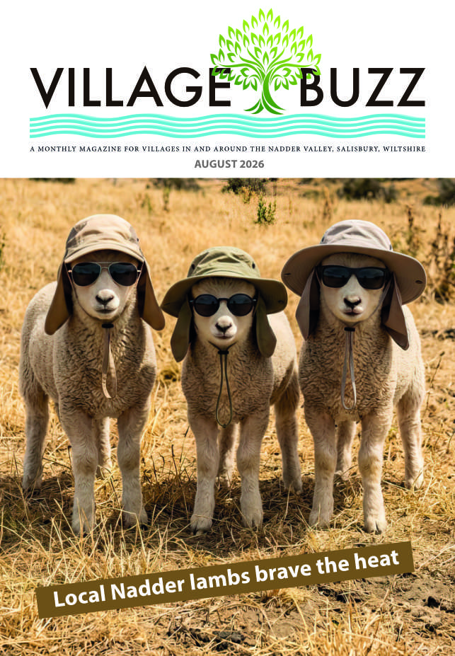 Cover of the August 2026 Village Buzz magazine