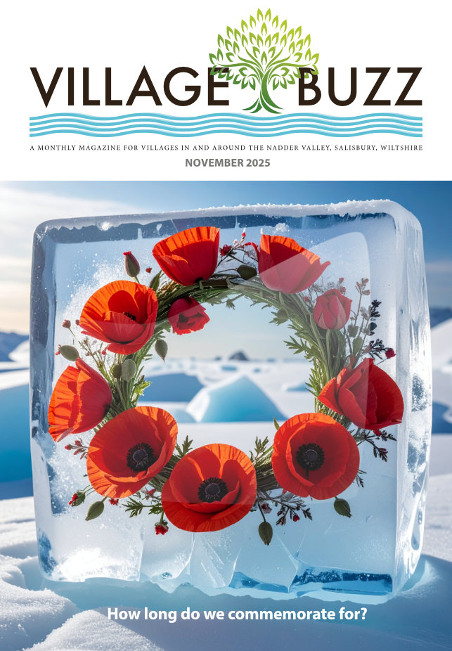 Cover of the November 2025 Village Buzz magazine